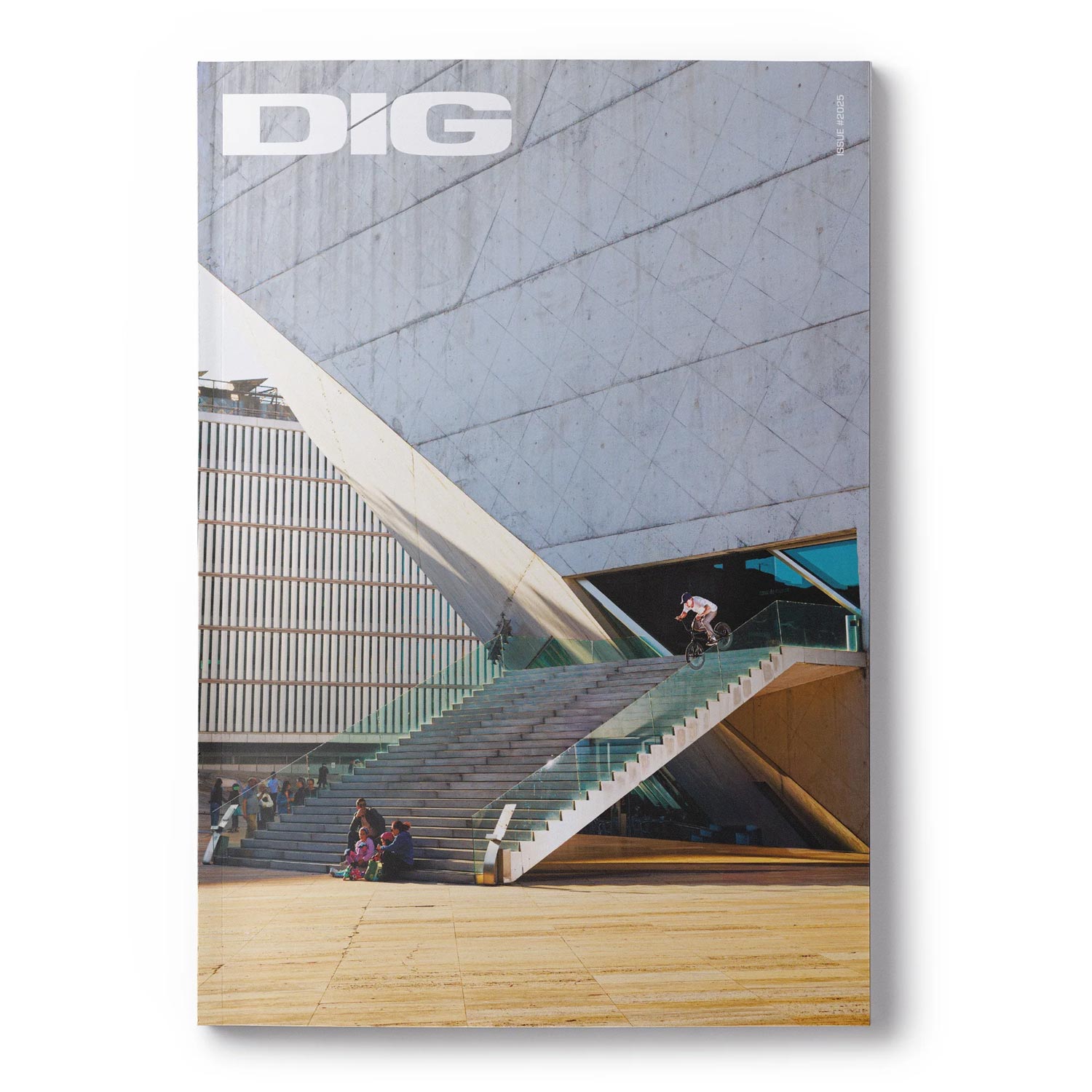 DIG BOOK #2025