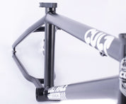 Race Frame / disk brake / black